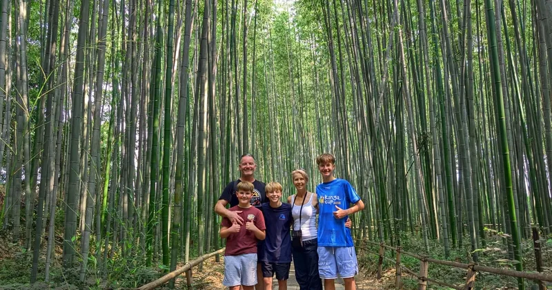 Arashiyama Bamboo & Temple, with Monkeys or a Sake Brewery