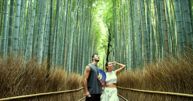 Kyoto: Arashiyama Bamboo, Matcha, Monkeys & Temple Tour