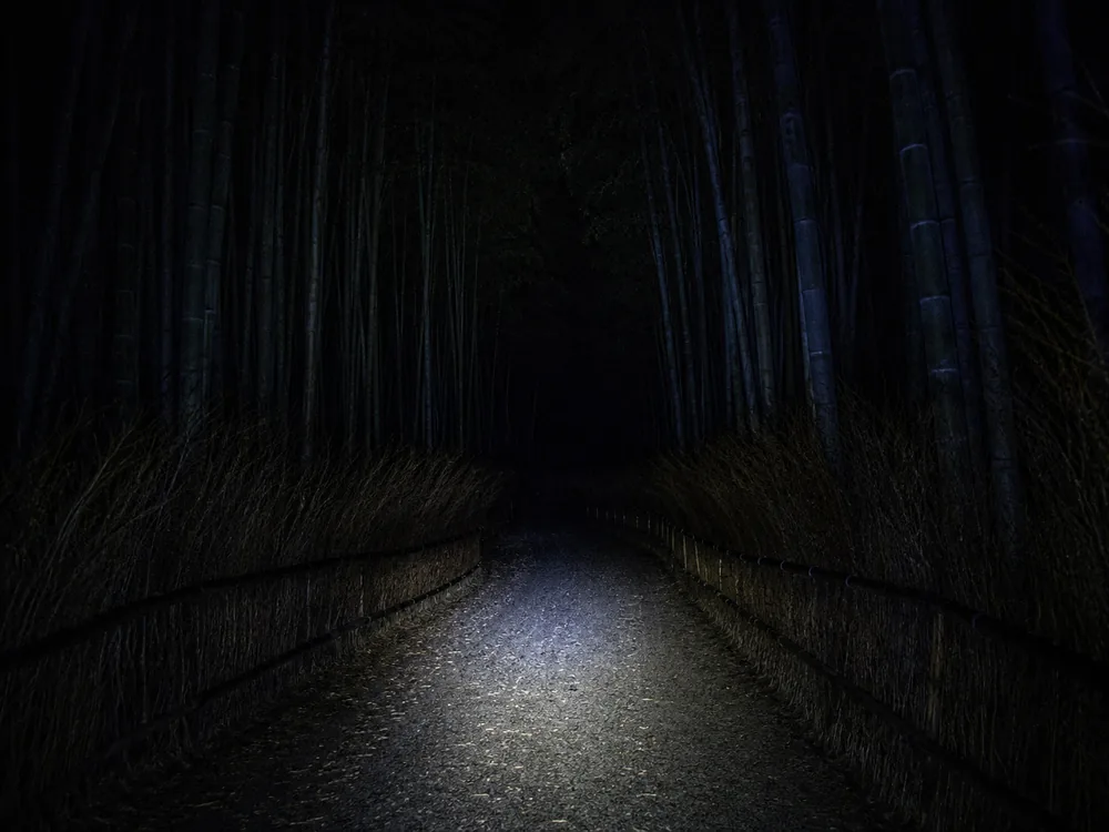 The unlit grove at dusk, nearly empty