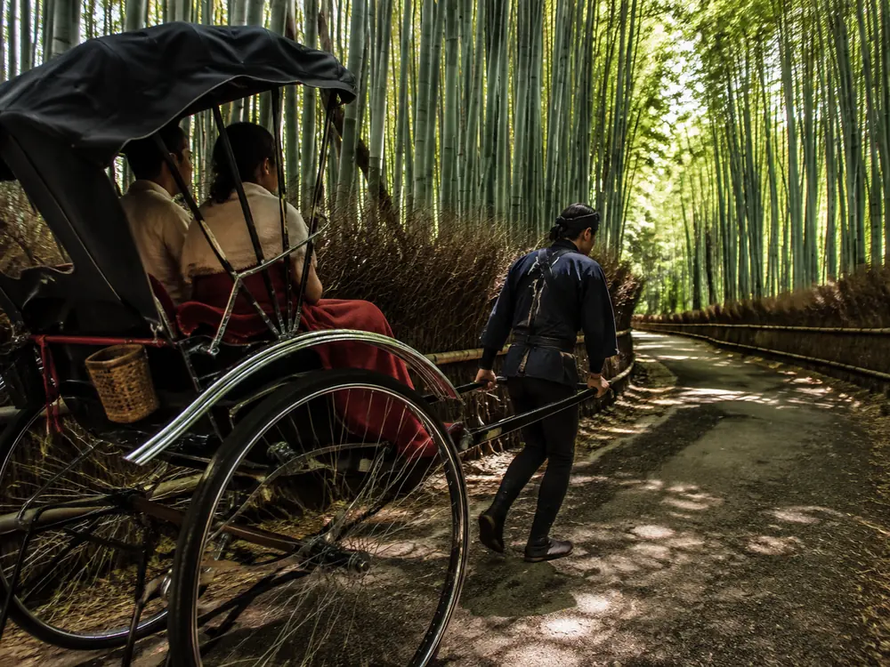 A rickshaw on its private lane through the bamboo