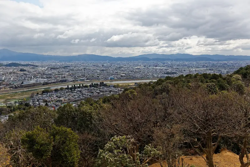 Kyoto from the top of Iwatayama — what the twenty-minute climb buys you