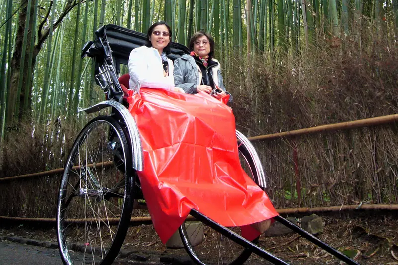 A rickshaw on the grove track — the lane you cannot walk down