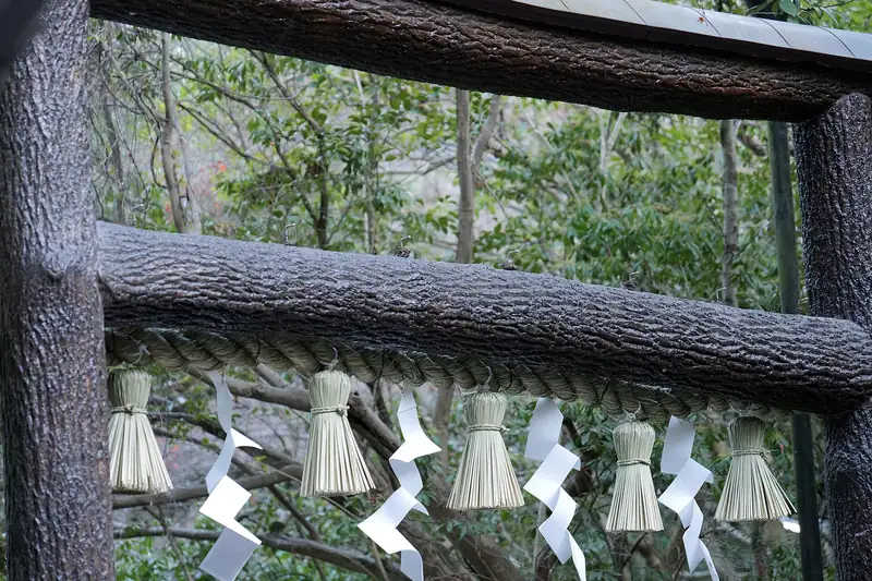 Nonomiya Shrine’s torii — the crossbeams still in unstripped black bark